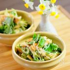 油揚げと香味野菜のサラダ