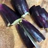 レンチンで簡単 ピリ辛とろとろなすの下準備