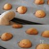 塩麹の米粉クッキーの工程8