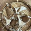 【れんこんと舞茸の甘辛炒め】シャキシャキ♪の下準備