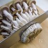 キノコの風味が美味しい「ペペロンチーノ」の工程5