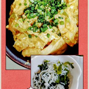 ゆみの作ってみた!投稿(ご飯にめっちゃ合う♡厚揚げと長ねぎのふわふわたまご煮)