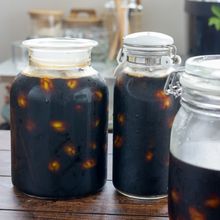 「梅仕事デビューはこれ！」ほったらかしで完成【梅の醬油漬け】