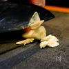 白飯との相性文句無し!菜の花のカルビ焼きの工程1