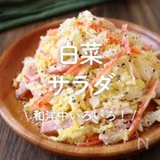 「白菜サラダ」レシピ30選｜和洋中いろいろ！