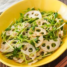 レンジで作れる◎れんこんと豆苗のシャキシャキサラダ