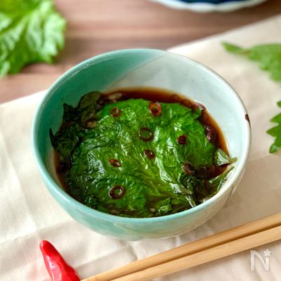 ご飯にも麺にも合う!【大葉の醤油漬け】大量消費にぴったり☆