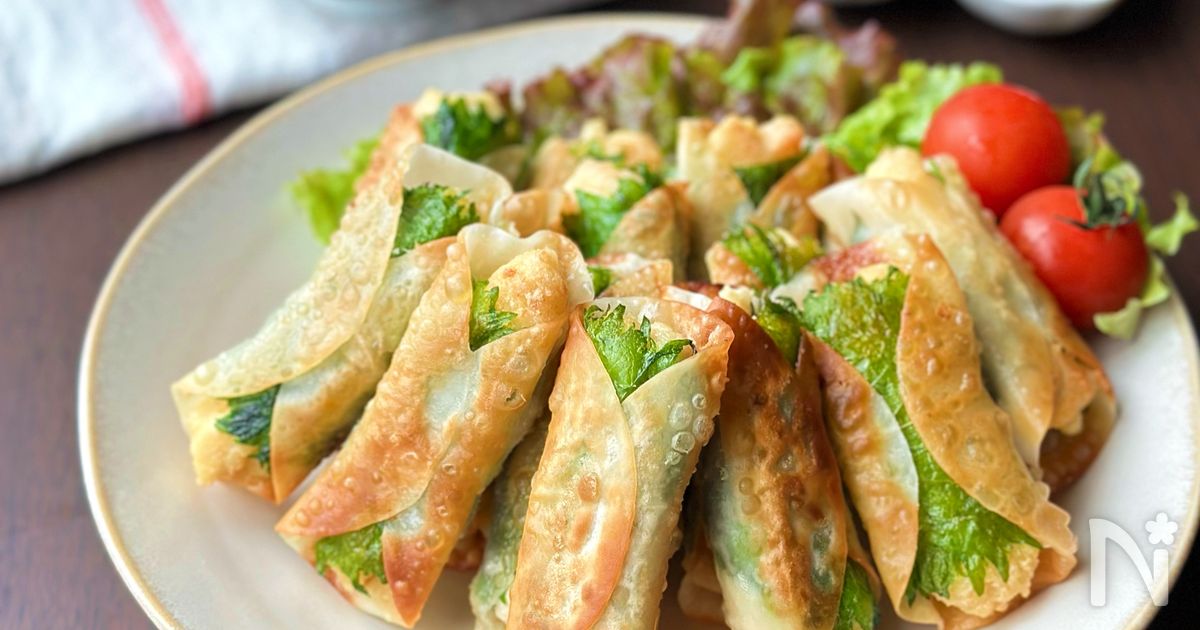 【鶏むね肉と豆腐の巻き巻き紫蘇餃子】節約/ガッツリごはん