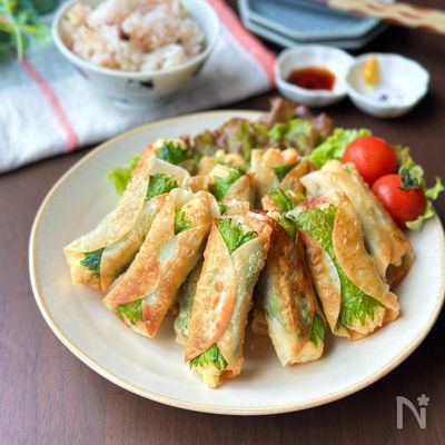 【鶏むね肉と豆腐の巻き巻き紫蘇餃子】節約/ガッツリごはん