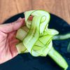 和えるだけでやみつき♪【しっとりよだれ豚】の工程1