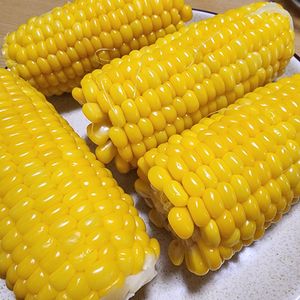 ナムディの作ってみた!投稿(裏ワザで劇的プリプリ♪とうもろこしの茹で方)