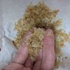 簡単定番和食【たけのこの土佐煮】しみじみ旨いの下準備