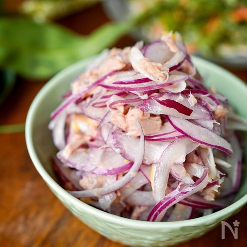 2500本(赤玉ねぎ500本、ネオアース2000本) 【公式通販】