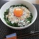 しらす丼
