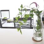 気軽にアレンジ！「ちょこっとグリーン」のすすめ