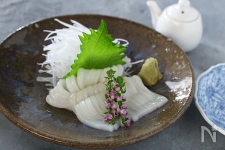 本当に美味しいいかの刺身 さばき方 何度も作りたい定番レシピvol 158 レシピサイト Nadia ナディア プロの料理家のおいしいレシピ