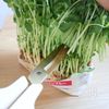 マヨなし ポテサラ革命の工程6