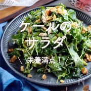 「ケールのサラダ」23選｜栄養満点！