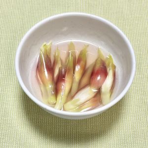 キャピタンの作ってみた!投稿(夏の箸休めに【みょうがの塩麹甘酢漬け】)