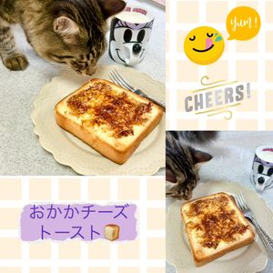 のりのり🐾🎀🤍の作ってみた!投稿(簡単！おかかチーズトースト)
