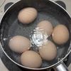 【料亭の味!ネギ盛り盛り白い漬けたまご】節約の工程1