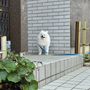 ルルすけ