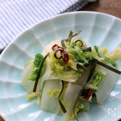 白だしで簡単♪白菜の浅漬け