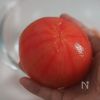 【トマトときゅうりの洋風サラダ】この夏、何度も食べたくなる！の下準備