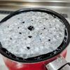 【黒豆】少量で気軽に作れる!の工程4