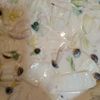 パンダ♪35の作ってみた!投稿(【我が家の定番♡︎とろとろ白菜とチキンのクリーム煮】)