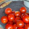 【ミニトマトとしらすのパスタ】じゅわっと甘い!の下準備