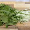 【水菜とツナのやみつきサラダ】の工程1