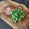 夏バテ予防に【栄養満点ねばねば丼】の工程1
