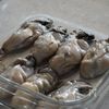 牡蠣と長ネギの、白い冬グラタン。の工程3