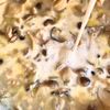牡蠣ときのこのまろやか豆乳チャウダーの工程5