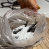 【ご飯がすすむ！】ししゃも唐揚げの工程1