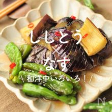 「ししとう×なす」レシピ30選｜和洋中いろいろ！