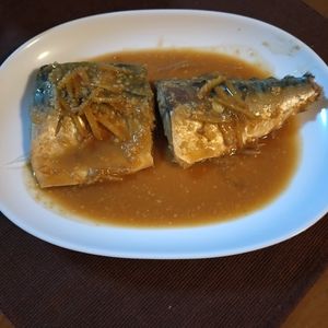 1157346の作ってみた!投稿(ご飯に合う♡『鯖の味噌煮』)