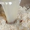 ワンパンでできる!【鶏ととうもろこしのフライパンパエリア】の工程7