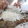 【新玉ねぎ×ツナコーンの春巻き】旨みじゅわっと簡単おかずの工程1