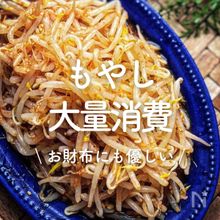「もやしの大量消費レシピ」30選｜お財布にも優しい