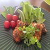 こむぎの作ってみた!投稿(【魚を美味しく！】鮭のバジルパン粉焼き)