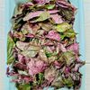 【赤じそシロップ】炭酸で割ると夏にすっきり！ゆる腸活にも！の下準備