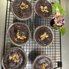 そら・ゆずの作ってみた!投稿(簡単‼️生チョコタルト)