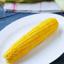 プロに聞いた【とうもろこしの茹で方】