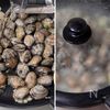 【あさりの白ワインバター蒸し】フライパン1つ♪10分で完成の工程3