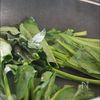 【鮭の豆乳クリームソテー】豆乳で優しい味わいに ⌾の工程4