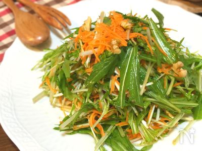 デパ地下デリカ風 シャキシャキ水菜とニンジンとクルミのサラダ By Shima レシピサイト Nadia ナディア プロの料理家のおいしい レシピ