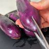 レンチン！とろじゅわ♡【なすの大葉醤油づけ】の工程1