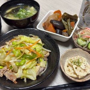 みーこの作ってみた!投稿(お弁当屋さんの肉野菜炒め【#ほっと◯っと風 #野菜たっぷり】)